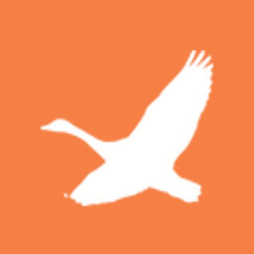 FreeMover
